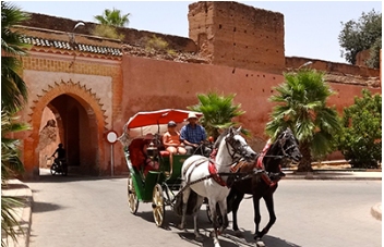 cooking class and carriage ride